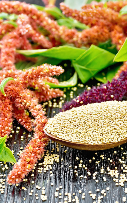 Tablespoon of amaranth grains