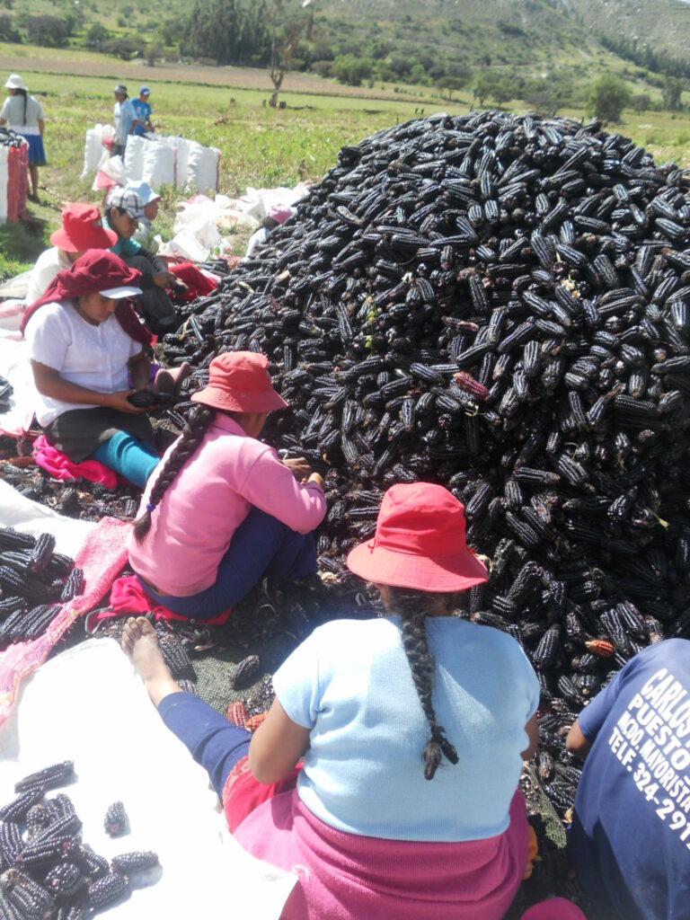 Cooperación al desarrollo - Qomer - Proyecto en Perú - chicha morada